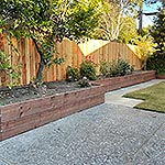 backyard 2023